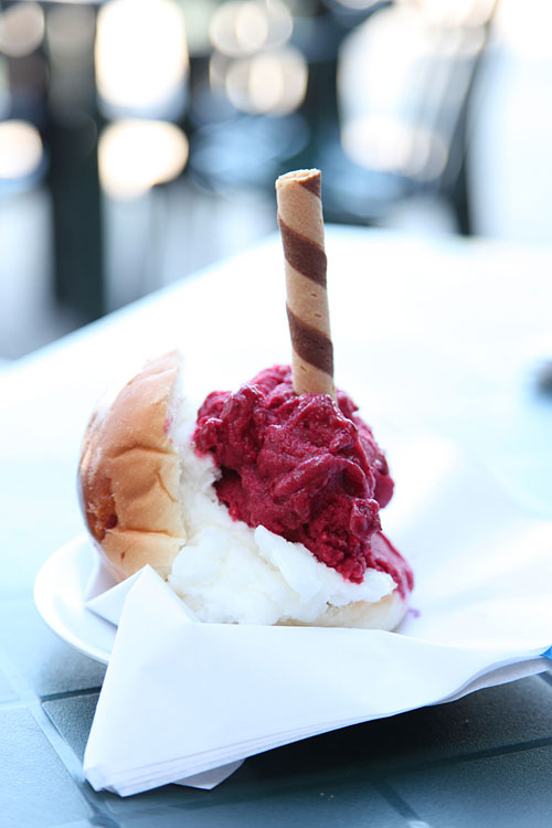 palermo2010_1ssl palermo2010_1ssl