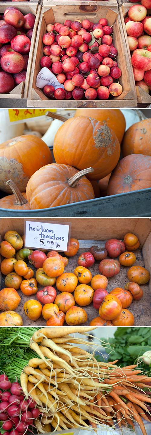 autumn_market_nyc_ssl autumn_market_nyc_ssl